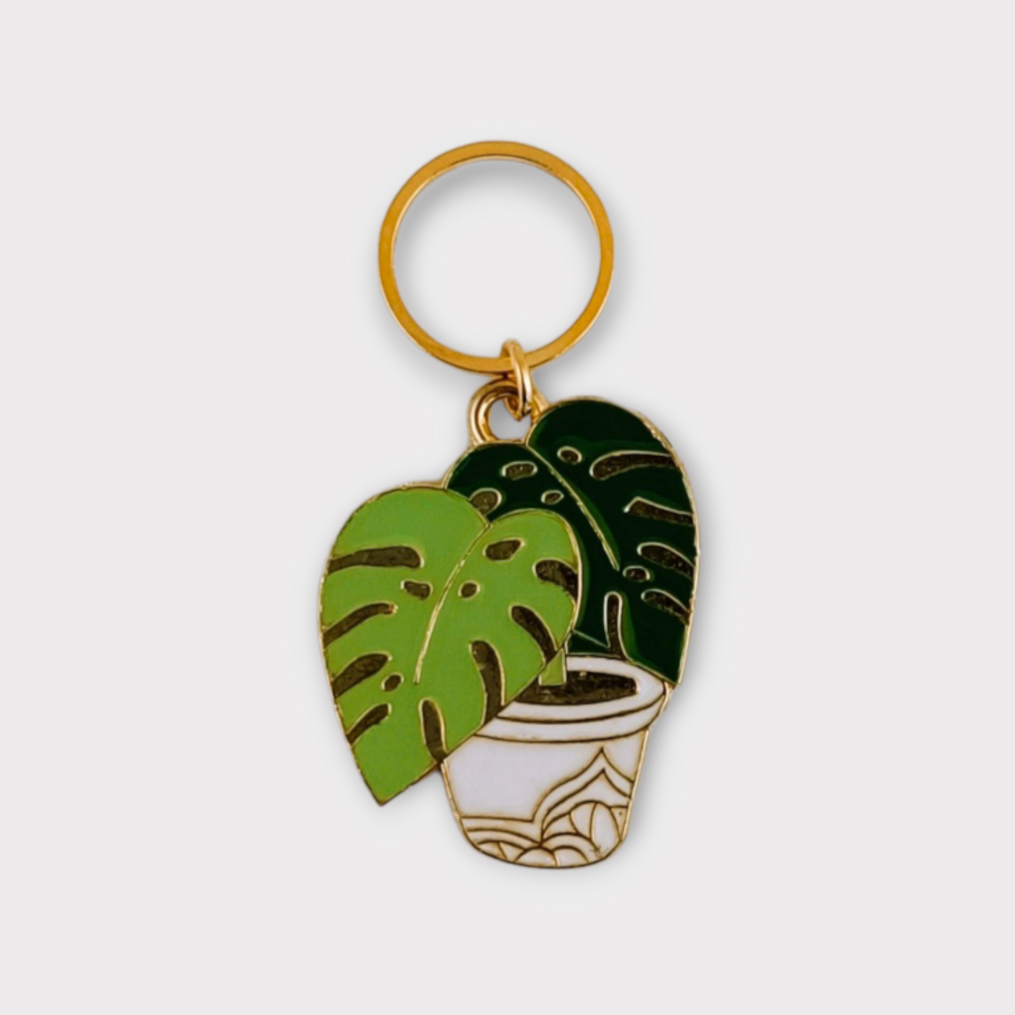 Monstera