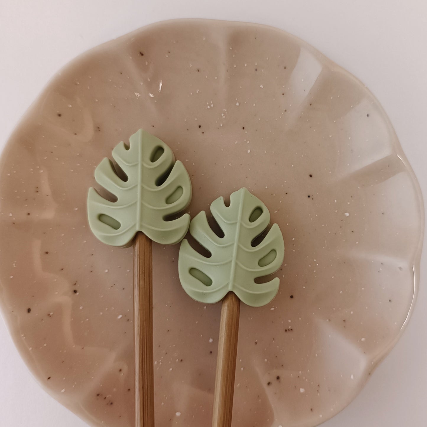 Monstera